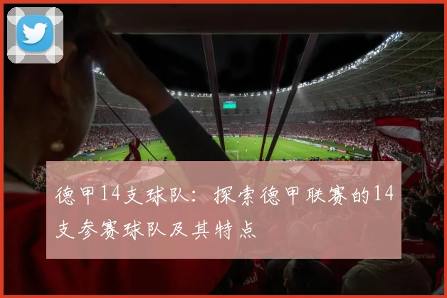 德甲14支球队：探索德甲联赛的14支参赛球队及其特点
