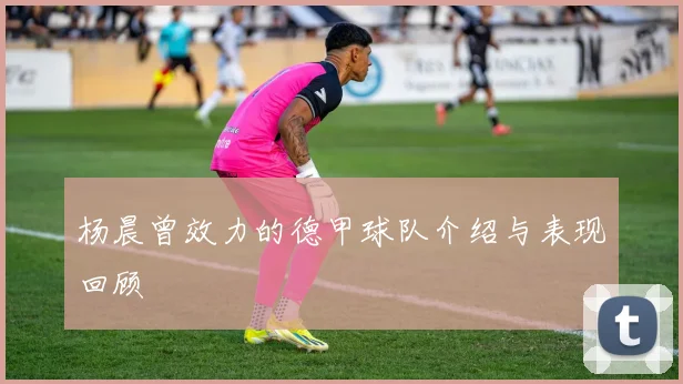杨晨曾效力的德甲球队介绍与表现回顾
