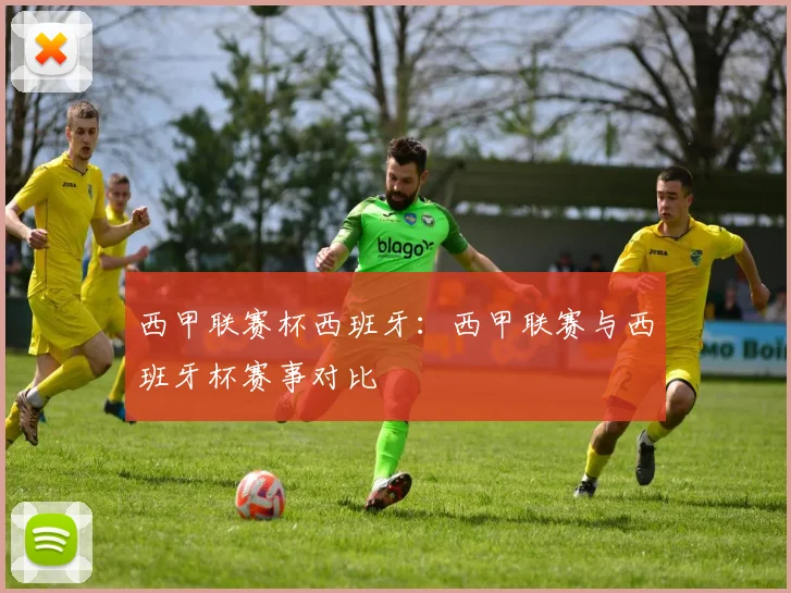 西甲联赛杯西班牙：西甲联赛与西班牙杯赛事对比
