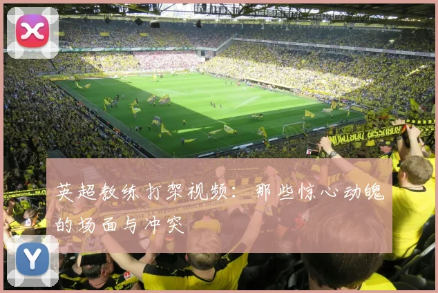 英超教练打架视频：那些惊心动魄的场面与冲突