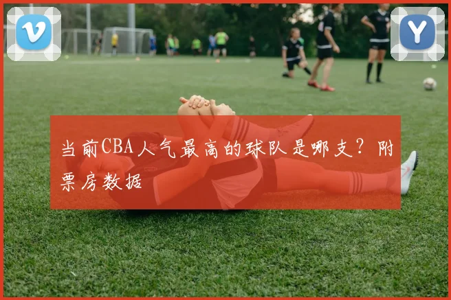 当前CBA人气最高的球队是哪支？附票房数据
