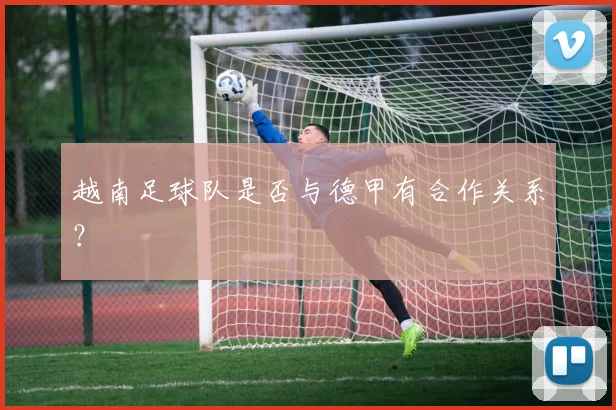 越南足球队是否与德甲有合作关系?